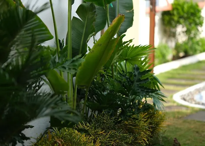 Mon House Phan Thiết